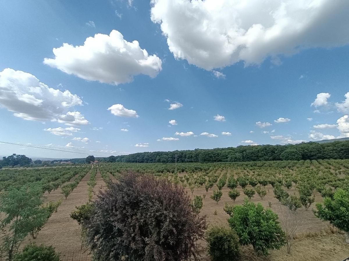 Il Sartore Vetralla Extérieur photo